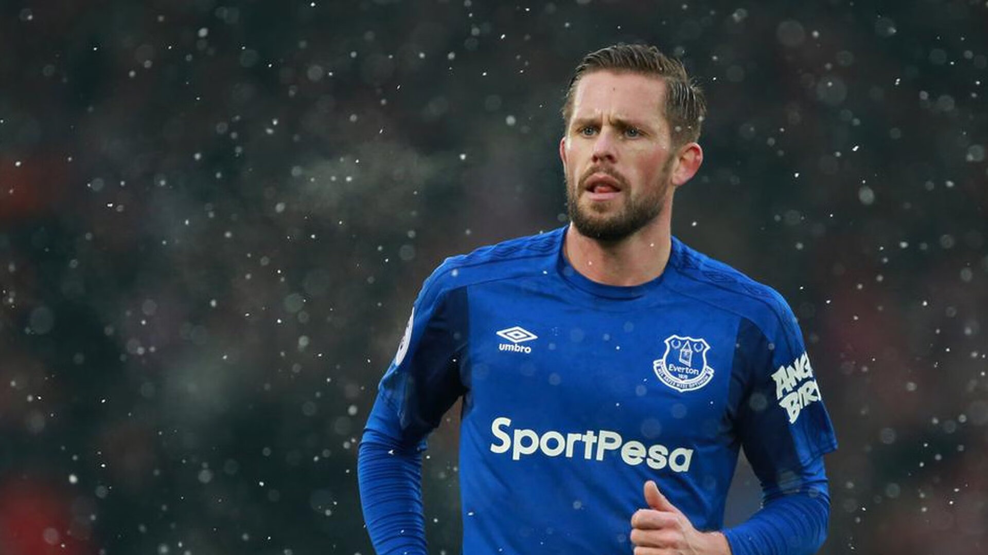 锋线多点开花是否比单核心体系更具长期稳定性，锋线出现在哪