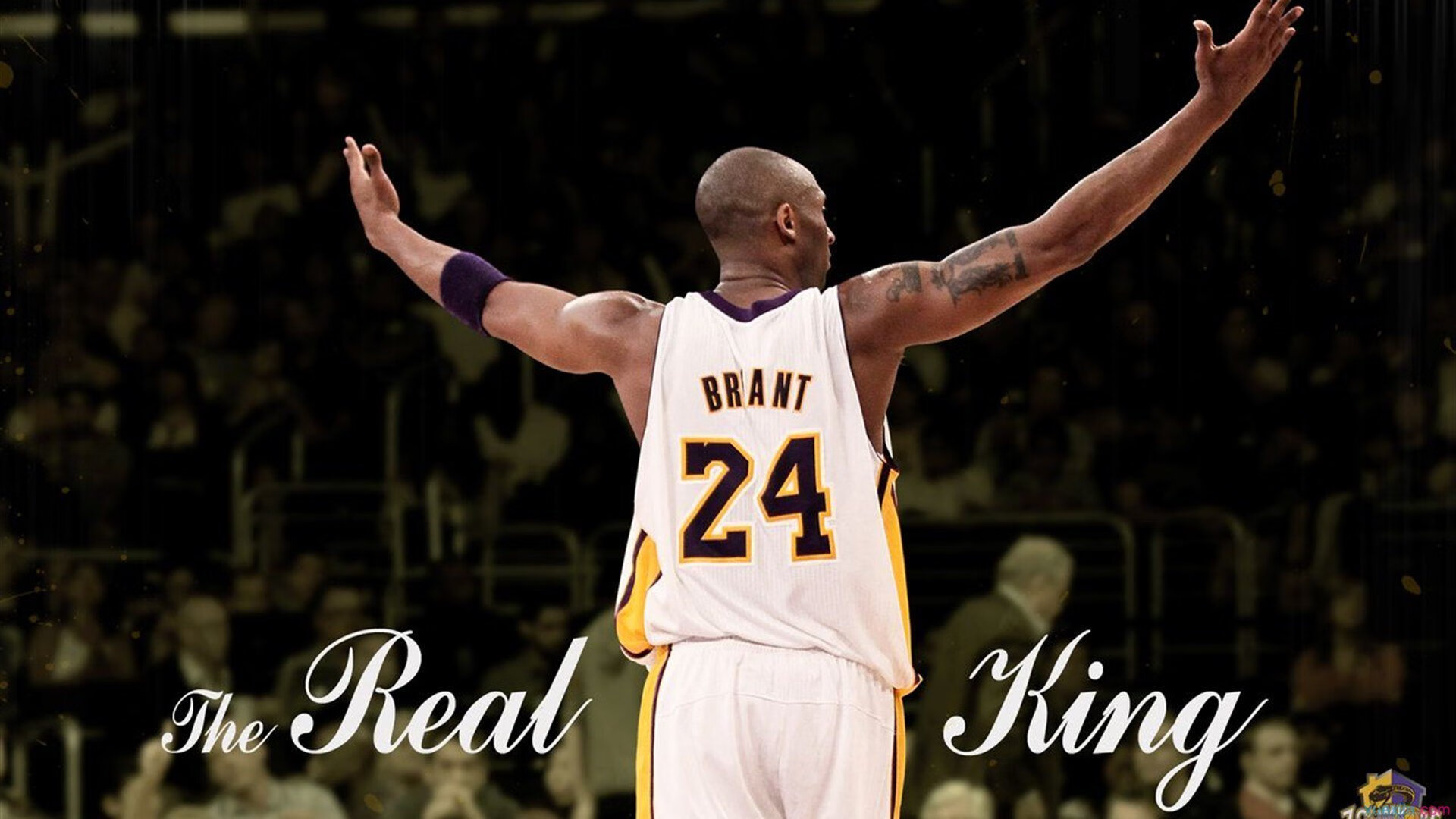 南非羚羊队:反击速度令所有对手都感到压力山大,南非羚羊皮可以干嘛用